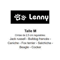 Combo Full Rocky 2 - Lenny