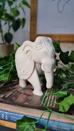 elefante-decoracao-com-elefantes-alma-livre-store-decoracao-de-interiores-ambiente-zen-misticismo-budismo-hinduismo-significado-de-elefante-casa-vogue-etna-tok-e-stok