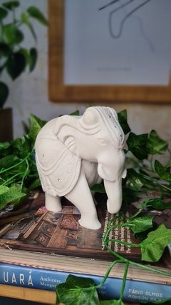 elefante-decoracao-com-elefantes-alma-livre-store-decoracao-de-interiores-ambiente-zen-misticismo-budismo-hinduismo-significado-de-elefante-casa-vogue-etna-tok-e-stok