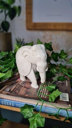 elefante-decoracao-com-elefantes-alma-livre-store-decoracao-de-interiores-ambiente-zen-misticismo-budismo-hinduismo-significado-de-elefante-casa-vogue-etna-tok-e-stok