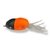 Isca Frog Life Bolinha 5cm 12g