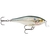 Isca Artificial Rapala Shallow Shad Rap 9cm 12g SSR09