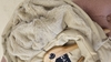 Chaleco Creamy importado piel interior - comprar online