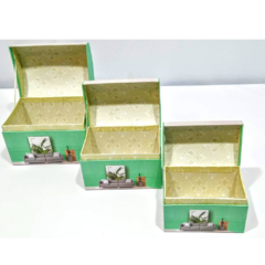 Set x 3 cajas baul organizadoras