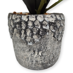 Imagen de Planta Artificial Bonsai Maceta Ceramica Deco Regaleria