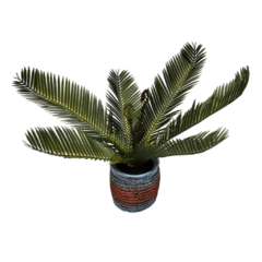 Planta Artificial Bonsai Maceta Ceramica Deco Palmera