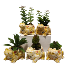 Planta Artificial Bonsai Maceta Vintage Arbol Deco Regaleria Sapito - comprar online