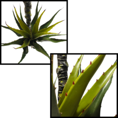 Planta Aloe Vera Jardín Exterior Interior Alta Artificial - pachos