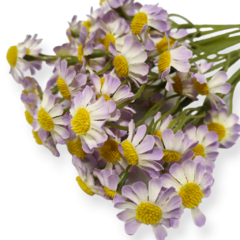 Ramo Vara Silvestre Artificial flor flores - tienda online