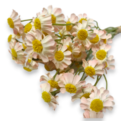 Imagen de Ramo Vara Silvestre Artificial flor flores