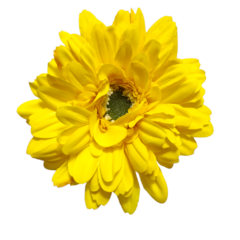 A Ramo Flor Vara Silvestre Flores Artificial Deco Hogar - comprar online