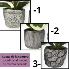 Planta Maceta Cemento Deco Artificial Interior chiquitas - tienda online