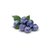 MIRTILO BLUEBERRY BJ 120G