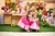 Fantasia Infantil Princesa Peach Luxo na internet