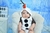 Fantasia Infantil Olaf - comprar online