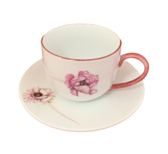 Xícara Chá Floral em Rosa na internet