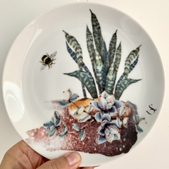 Wall Plate Sansevieria na internet