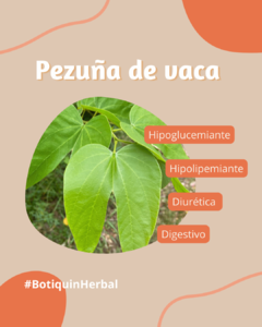 Botiquín Herbal 10 Plantas para tu bienestar - comprar online