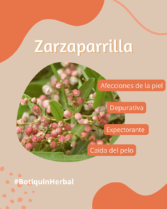 Botiquín Herbal 10 Plantas para tu bienestar - Raíz Serrana