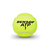 Pelotas de Tenis Dunlop ATP Championship - Tubo x3 en internet