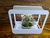 Germinador led smart garden bonsai interior rehau - Domestic Bonsai