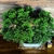 Bonsai Junipero chinensis turulosa N15 en maceta ceramica esmaltada en internet