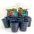 Combo cultivo y germinacion plantado de semillas 10 macetas sopladas 300cc + 6lt puzolana roja - comprar online