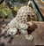 Figura Perro de foo protector macho 30cm resina exterior - Domestic Bonsai