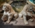 Figura Perro de foo protector macho 30cm resina exterior - tienda online