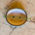 Maceta n5 esmaltada nacional oval marron con labio - Domestic Bonsai