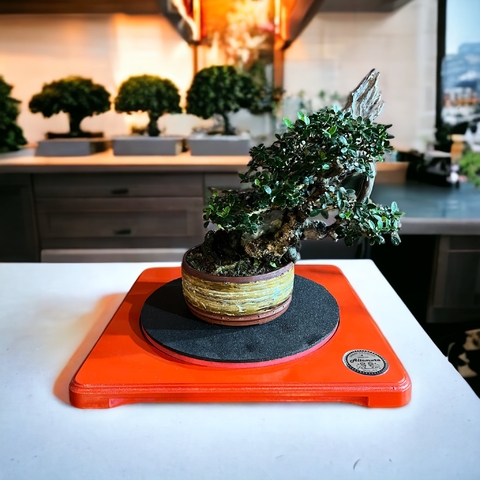A pedido | Mesa Torno Giratoria 360 para trabajo de bonsai 42 x 46 x 3.5 cm Altamura