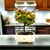 Bonsai Arce Acer buerguerianum N4 tridente en maceta esmaltada