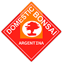 Logo de Domestic Bonsai