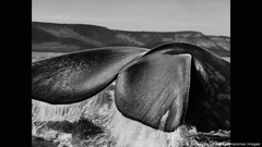 Sebastião Salgado. GÉNESIS - comprar online