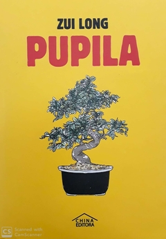 Pupila - Zui Long - China Editora - comprar online