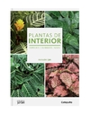 Plantas de interior - comprar online