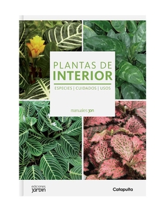 Plantas de interior - comprar online