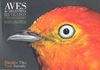 Aves De Argentina- Retratos Y Reflexiones-Tito Narosky/Nicolas-Editorial Ecoval Ediciones - comprar online