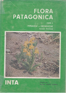 Flora Patagónica parte 2