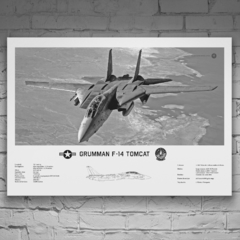 Lámina infográfica F-14 Tomcat