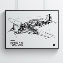 Lámina técnica Curtiss P40 Tomahawk