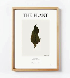 SET TRIPLE SERIE THE PLANT #2 - casa cuadros cba