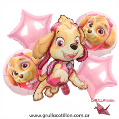 SET 5 GLOBOS PAW PATROL - SKYE