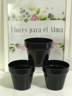 SET AROMATICAS (3 PLANTAS AROMATICAS + 3 MACETAS 12cm) - Flores para el Alma