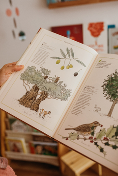 Imagen de Inventarios ilustrados - Animales, flores, árboles, frutas y verduras.