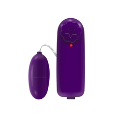 Vibrador Bullet Cápsula Multivelocidade - Roxo