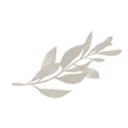 Logo de Retian Deco