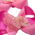 Parzinho de Bico de Pato Isis GR FT05 Borboletas Flores Luxo na internet