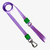 Kit coleira para cachorros - Lilas Lime - Maui Dog