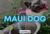 Banner de Maui Dog